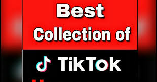 As with other social platforms, hashtags are a mainstay on tiktok for searching and sorting content. Tiktok Names 800 Best Tiktok Username Ideas Tiktok Names Tiktok Names