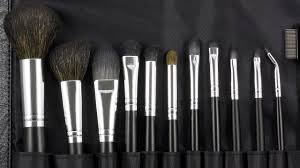 12 piece brush set from coastal scents