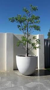 Polystone Resin Pots Planters In Perth