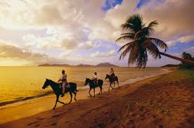 Image result for horseback riding in the caribbean