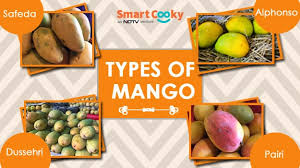 10 Popular Varieties Of Mangoes In India How To Identify