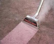 carpet cleaning in auckland services