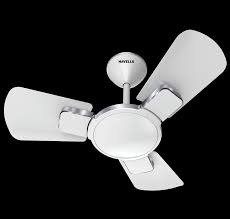 best decorative ceiling fan