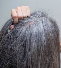 how to soften co gray hair