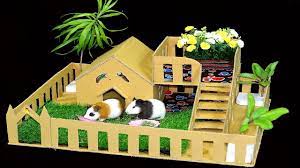 cute baby guinea pig the pet house
