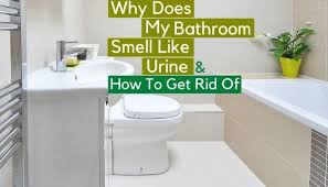 Bathroom Smells Cleaning Toilet Stains