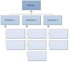 Simple Org Chart Organizational Chart What Is An