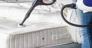 Best Steam Cleaners To Eliminate Bed