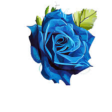 beautiful blue rose bouquet creative