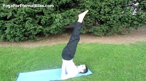 Hatha Yoga Postures Pdf Yoga Choices
