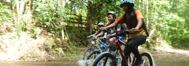 bike busuanga fast track a child s