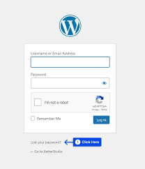 can t login to wordpress admin 8