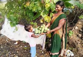Kitchen Garden Project Aid India