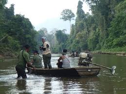A solo 1h40 de ambato. Kedah To Stop Logging In Crucial Water Catchment Of Ulu Muda Forests The Star