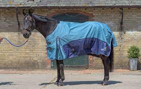 neck lightweight turnout rug review