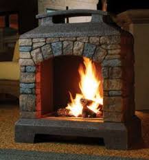 wood burning or propane gas fireplace