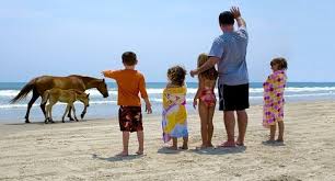 We have many outer banks pet friendly rentals in nags head, corolla, duck, southern shores, kitty hawk, and kill devil hills. Outer Banks Vacation Rentals Paramount Destinations