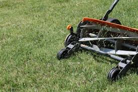 Image result for When that lawn mower cuts off your toes, don't come running to me