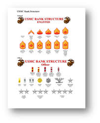 46 Interpretive Marine Corp Rank Structure Chart