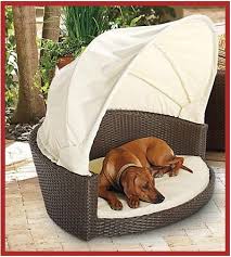 Outdoor Dog Dog Furniture Dog Bed