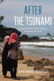 after the tsunami disaster narratives