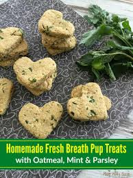homemade fresh breath pup treats your