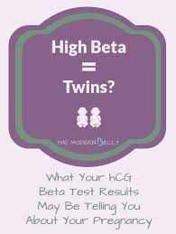 Do High Beta Hcg Levels Mean Youre Having Twins Vision