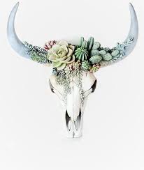Succulent Cow Skull Bull Skull Faux