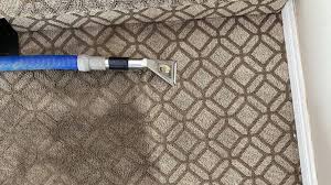 fix bleach stain carpet advanced