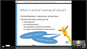 Does Your Animal Training Flow Chart