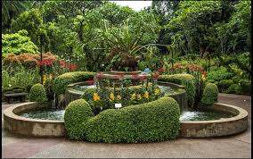 singapore botanic gardens holidify