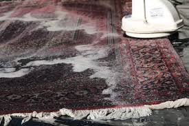 expert rug cleaning in new orleans