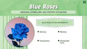 blue roses meaning symbolism and