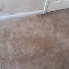 carpet cleaning