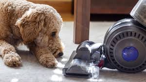 best vacuum for pet hair 2023 tested
