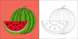 watermelon coloring page vector art