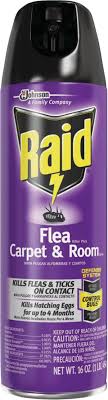 raid carpet room tick flea
