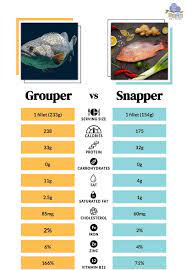 grouper vs snapper which fish is