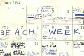 Beach Week Brett Kavanaughs Calendar Mentions Debauched Dc