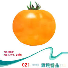 We did not find results for: 2021 Tomato Seeds Purple Cherokee Cherry Black Red Yellow Blue Zebra Tomato Fruit Vegetable Bonsai Food 1nwt From Big Box 10 79 Dhgate Com
