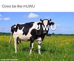 MUWU drink my milk : r/memes
