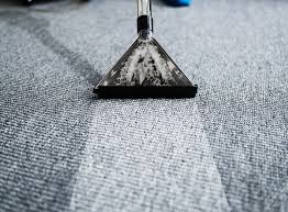 the top rated expert carpet cleaning