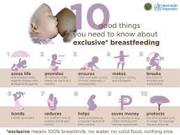 Newborn Stomach Size Chart Google Search Breastfeeding