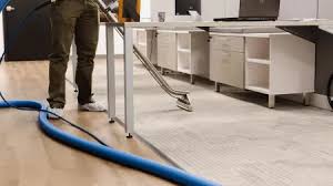 carpet cleaning seattle zerorez