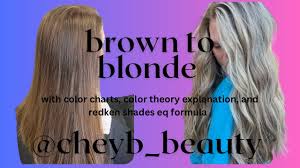 hair color theory toner formulas
