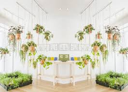 how to hang plants from ceiling without