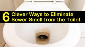 Eliminate Sewer Smell From The Toilet