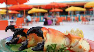 best seafood restaurants around ta bay