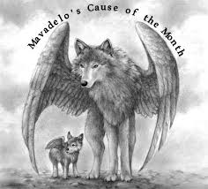 Image result for The mission of Wolf Haven International is to conserve and protect wolves and their habitat. Sanctuary / Education / Conservation