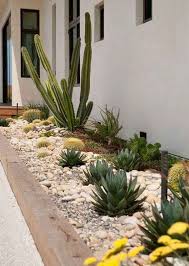 36 Beautiful Cactus Landscaping Ideas